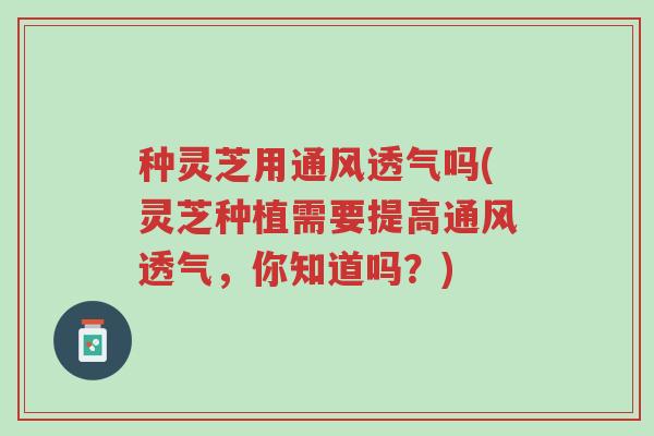 种灵芝用通风透气吗(灵芝种植需要提高通风透气,你知道吗?)-第1张图片-超越 种灵芝用通风透气吗(灵芝种植需要提高通风透气,你知道吗?)-第1张图片-超越