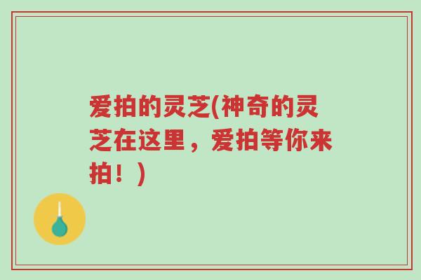 爱拍的灵芝(神奇的灵芝在这里,爱拍等你来拍!)-第1张图片-超越 爱拍的灵芝(神奇的灵芝在这里,爱拍等你来拍!)-第1张图片-超越