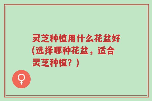 灵芝种植用什么花盆好(选择哪种花盆,适合灵芝种植?)-第1张图片-超越 灵芝种植用什么花盆好(选择哪种花盆,适合灵芝种植?)-第1张图片-超越