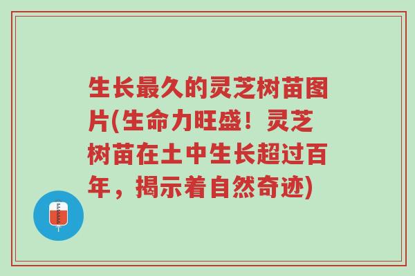 生长最久的灵芝树苗图片(生命力旺盛!灵芝树苗在土中生长超过百年,揭示着自然奇迹)-第1张图片-超越 生长最久的灵芝树苗图片(生命力旺盛!灵芝树苗在土中生长超过百年,揭示着自然奇迹)-第1张图片-超越