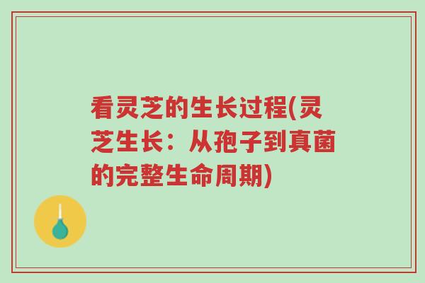 看灵芝的生长过程(灵芝生长：从孢子到真菌的完整生命周期)-第1张图片-超越