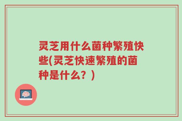 灵芝用什么菌种繁殖快些(灵芝快速繁殖的菌种是什么?)-第1张图片-超越 灵芝用什么菌种繁殖快些(灵芝快速繁殖的菌种是什么?)-第1张图片-超越