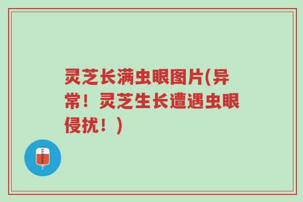 灵芝长满虫眼图片(异常！灵芝生长遭遇虫眼侵扰！)-第1张图片-超越