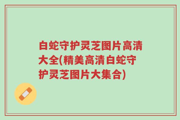 白蛇守护灵芝图片高清大全(精美高清白蛇守护灵芝图片大集合)-第1张图片-超越
