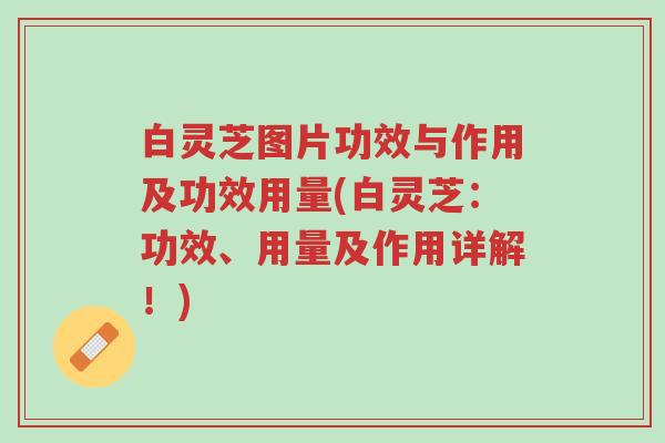 白灵芝图片功效与作用及功效用量(白灵芝：功效、用量及作用详解！)-第1张图片-超越