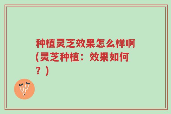 种植灵芝效果怎么样啊(灵芝种植:效果如何?)-第1张图片-超越 种植灵芝效果怎么样啊(灵芝种植:效果如何?)-第1张图片-超越