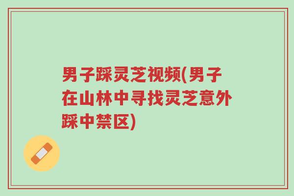 男子踩灵芝视频(男子在山林中寻找灵芝意外踩中禁区)-第1张图片-超越