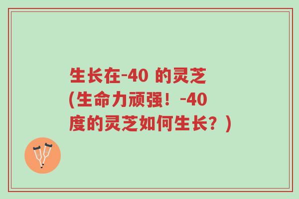 生长在-40 的灵芝(生命力顽强!-40度的灵芝如何生长?)-第1张图片-超越 生长在-40 的灵芝(生命力顽强!-40度的灵芝如何生长?)-第1张图片-超越