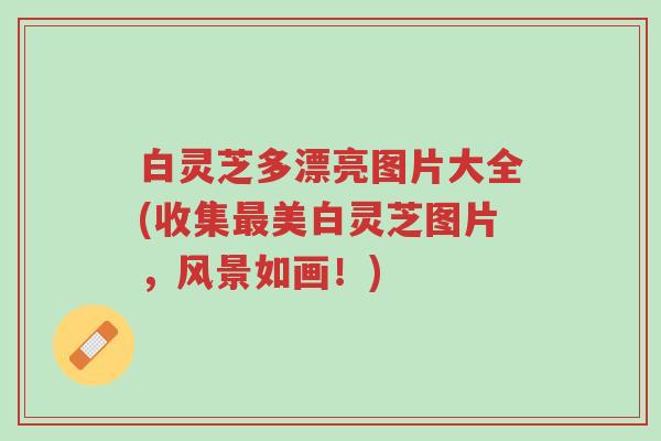 白灵芝多漂亮图片大全(收集最美白灵芝图片,风景如画!)-第1张图片-超越 白灵芝多漂亮图片大全(收集最美白灵芝图片,风景如画!)-第1张图片-超越