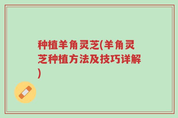 种植羊角灵芝(羊角灵芝种植方法及技巧详解)-第1张图片-超越 种植羊角灵芝(羊角灵芝种植方法及技巧详解)-第1张图片-超越