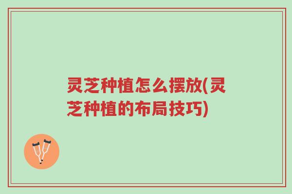灵芝种植怎么摆放(灵芝种植的布局技巧)-第1张图片-超越 灵芝种植怎么摆放(灵芝种植的布局技巧)-第1张图片-超越