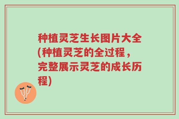 种植灵芝生长图片大全(种植灵芝的全过程，完整展示灵芝的成长历程)-第1张图片-超越