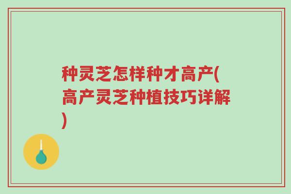 种灵芝怎样种才高产(高产灵芝种植技巧详解)-第1张图片-超越 种灵芝怎样种才高产(高产灵芝种植技巧详解)-第1张图片-超越