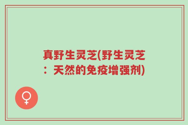 真野生灵芝(野生灵芝:天然的免疫增强剂)-第1张图片-超越 真野生灵芝(野生灵芝:天然的免疫增强剂)-第1张图片-超越