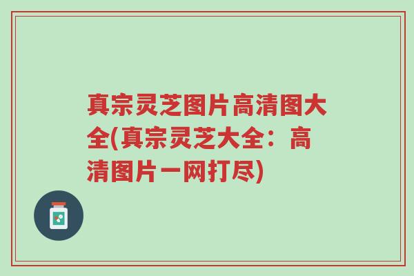 真宗灵芝图片高清图大全(真宗灵芝大全:高清图片一网打尽)-第1张图片-超越 真宗灵芝图片高清图大全(真宗灵芝大全:高清图片一网打尽)-第1张图片-超越