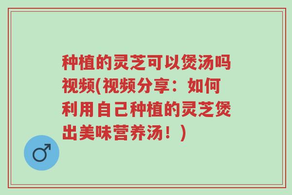 种植的灵芝可以煲汤吗视频(视频分享：如何利用自己种植的灵芝煲出美味营养汤！)-第1张图片-超越