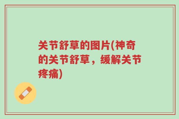 关节舒草的图片(神奇的关节舒草,缓解关节疼痛)-第1张图片-超越 关节舒草的图片(神奇的关节舒草,缓解关节疼痛)-第1张图片-超越