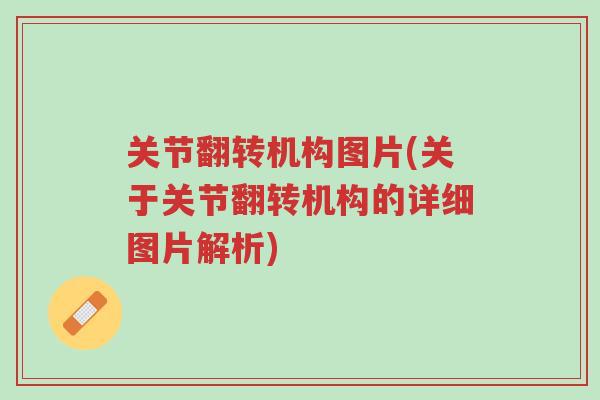关节翻转机构图片(关于关节翻转机构的详细图片解析)-第1张图片-超越 关节翻转机构图片(关于关节翻转机构的详细图片解析)-第1张图片-超越