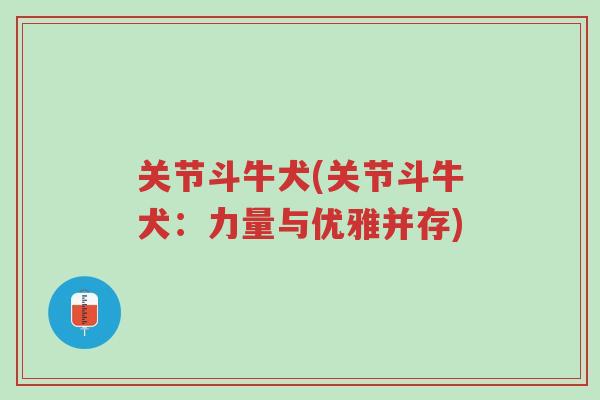 关节斗牛犬(关节斗牛犬:力量与优雅并存)-第1张图片-超越 关节斗牛犬(关节斗牛犬:力量与优雅并存)-第1张图片-超越