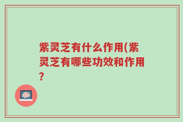 紫灵芝有什么作用(紫灵芝有哪些功效和作用?-第1张图片-超越 紫灵芝有什么作用(紫灵芝有哪些功效和作用?-第1张图片-超越