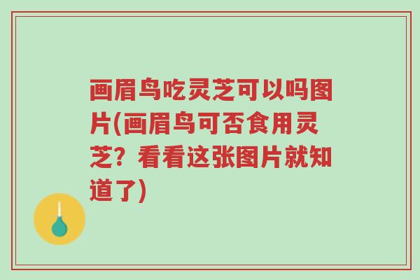 画眉鸟吃灵芝可以吗图片(画眉鸟可否食用灵芝?看看这张图片就知道了)-第1张图片-超越 画眉鸟吃灵芝可以吗图片(画眉鸟可否食用灵芝?看看这张图片就知道了)-第1张图片-超越