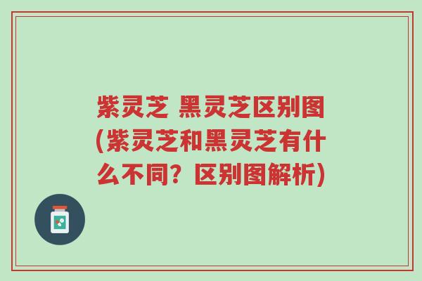 紫灵芝 黑灵芝区别图(紫灵芝和黑灵芝有什么不同?区别图解析)-第1张图片-超越 紫灵芝 黑灵芝区别图(紫灵芝和黑灵芝有什么不同?区别图解析)-第1张图片-超越