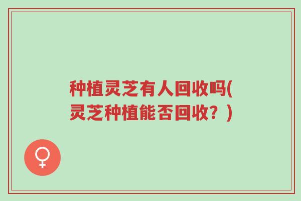 种植灵芝有人回收吗(灵芝种植能否回收?)-第1张图片-超越 种植灵芝有人回收吗(灵芝种植能否回收?)-第1张图片-超越
