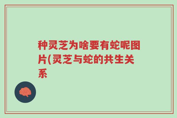 种灵芝为啥要有蛇呢图片(灵芝与蛇的共生关系-第1张图片-超越 种灵芝为啥要有蛇呢图片(灵芝与蛇的共生关系-第1张图片-超越