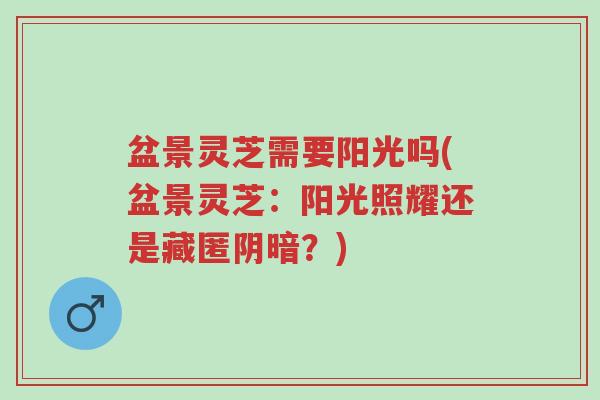 盆景灵芝需要阳光吗(盆景灵芝:阳光照耀还是藏匿阴暗?)-第1张图片-超越 盆景灵芝需要阳光吗(盆景灵芝:阳光照耀还是藏匿阴暗?)-第1张图片-超越