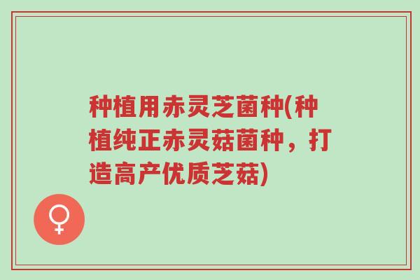 种植用赤灵芝菌种(种植纯正赤灵菇菌种,打造高产优质芝菇)-第1张图片-超越 种植用赤灵芝菌种(种植纯正赤灵菇菌种,打造高产优质芝菇)-第1张图片-超越