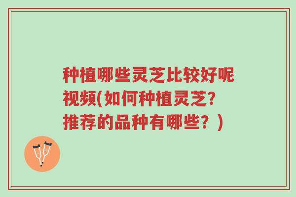 种植哪些灵芝比较好呢视频(如何种植灵芝?推荐的品种有哪些?)-第1张图片-超越 种植哪些灵芝比较好呢视频(如何种植灵芝?推荐的品种有哪些?)-第1张图片-超越