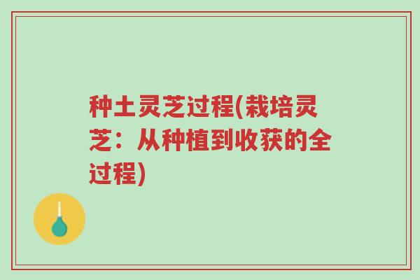 种土灵芝过程(栽培灵芝:从种植到收获的全过程)-第1张图片-超越 种土灵芝过程(栽培灵芝:从种植到收获的全过程)-第1张图片-超越