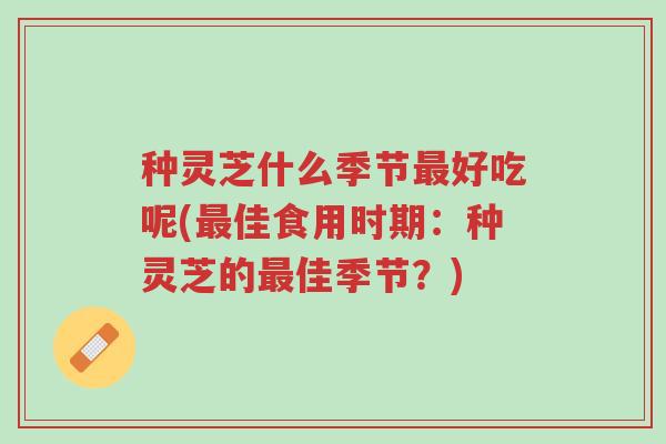 种灵芝什么季节最好吃呢(最佳食用时期:种灵芝的最佳季节?)-第1张图片-超越 种灵芝什么季节最好吃呢(最佳食用时期:种灵芝的最佳季节?)-第1张图片-超越