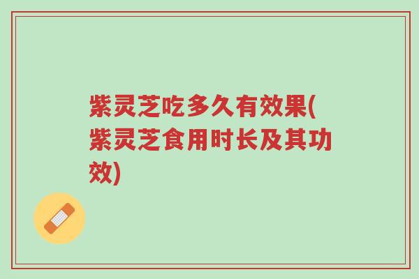 紫灵芝吃多久有效果(紫灵芝食用时长及其功效)-第1张图片-超越