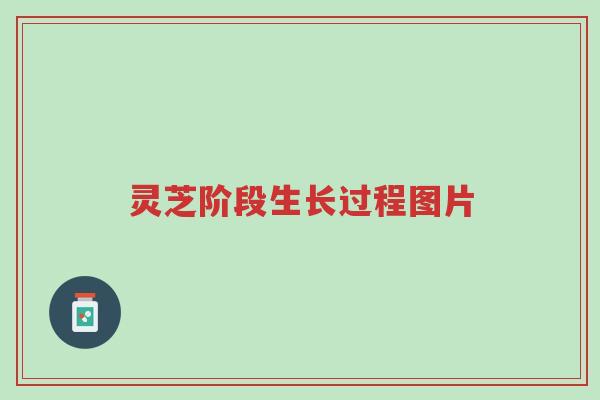 灵芝阶段生长过程图片-第1张图片-超越 灵芝阶段生长过程图片-第1张图片-超越