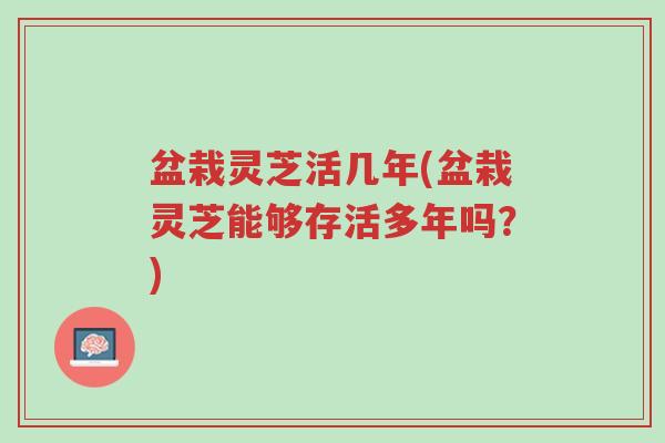 盆栽灵芝活几年(盆栽灵芝能够存活多年吗?)-第1张图片-超越 盆栽灵芝活几年(盆栽灵芝能够存活多年吗?)-第1张图片-超越