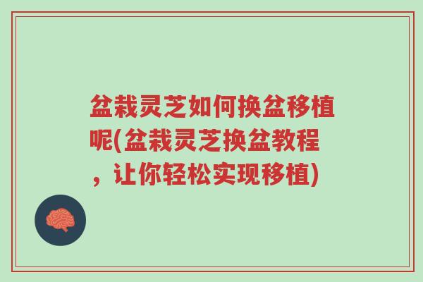 盆栽灵芝如何换盆移植呢(盆栽灵芝换盆教程,让你轻松实现移植)-第1张图片-超越 盆栽灵芝如何换盆移植呢(盆栽灵芝换盆教程,让你轻松实现移植)-第1张图片-超越