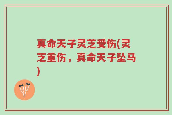 真命天子灵芝受伤(灵芝重伤,真命天子坠马)-第1张图片-超越 真命天子灵芝受伤(灵芝重伤,真命天子坠马)-第1张图片-超越