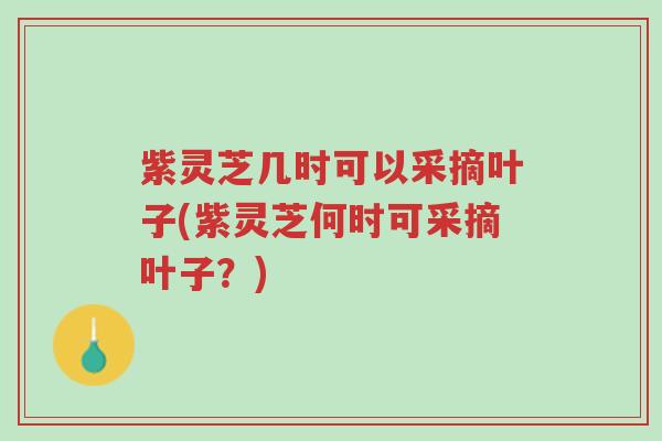 紫灵芝几时可以采摘叶子(紫灵芝何时可采摘叶子?)-第1张图片-超越 紫灵芝几时可以采摘叶子(紫灵芝何时可采摘叶子?)-第1张图片-超越