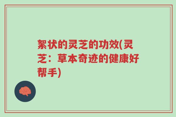 絮状的灵芝的功效(灵芝：草本奇迹的健康好帮手)-第1张图片-超越