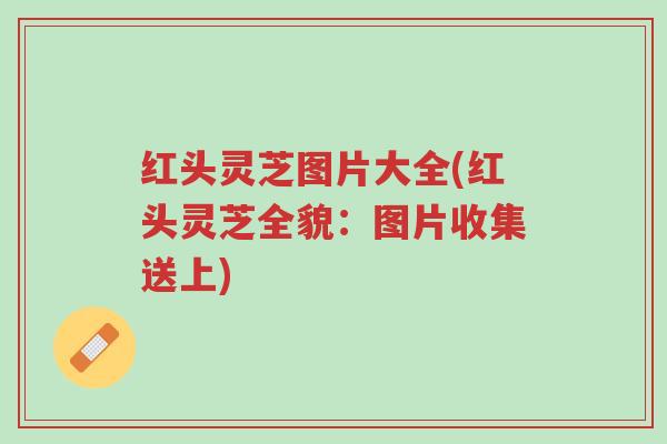 红头灵芝图片大全(红头灵芝全貌:图片收集送上)-第1张图片-超越 红头灵芝图片大全(红头灵芝全貌:图片收集送上)-第1张图片-超越