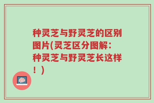 种灵芝与野灵芝的区别图片(灵芝区分图解:种灵芝与野灵芝长这样!)-第1张图片-超越 种灵芝与野灵芝的区别图片(灵芝区分图解:种灵芝与野灵芝长这样!)-第1张图片-超越