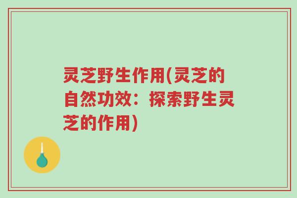 灵芝野生作用(灵芝的自然功效:探索野生灵芝的作用)-第1张图片-超越 灵芝野生作用(灵芝的自然功效:探索野生灵芝的作用)-第1张图片-超越