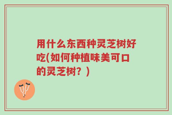 用什么东西种灵芝树好吃(如何种植味美可口的灵芝树?)-第1张图片-超越 用什么东西种灵芝树好吃(如何种植味美可口的灵芝树?)-第1张图片-超越