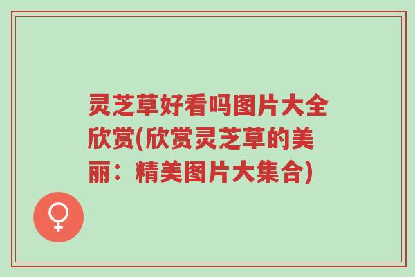灵芝草好看吗图片大全欣赏(欣赏灵芝草的美丽:精美图片大集合)-第1张图片-超越 灵芝草好看吗图片大全欣赏(欣赏灵芝草的美丽:精美图片大集合)-第1张图片-超越