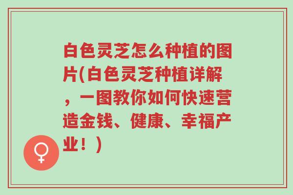 白色灵芝怎么种植的图片(白色灵芝种植详解,一图教你如何快速营造金钱、健康、幸福产业!)-第1张图片-超越 白色灵芝怎么种植的图片(白色灵芝种植详解,一图教你如何快速营造金钱、健康、幸福产业!)-第1张图片-超越