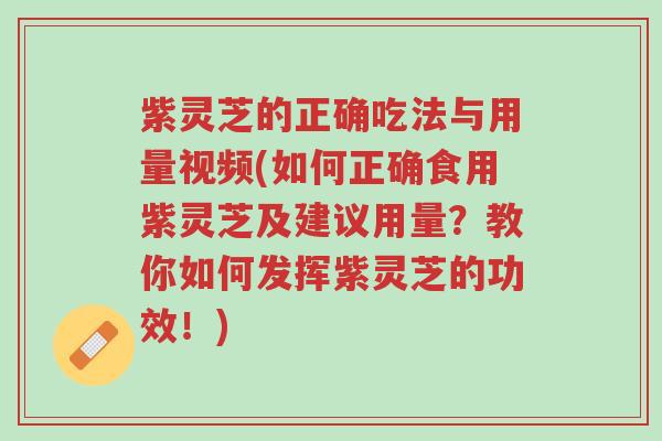 紫灵芝的正确吃法与用量视频(如何正确食用紫灵芝及建议用量?教你如何发挥紫灵芝的功效!)-第1张图片-超越 紫灵芝的正确吃法与用量视频(如何正确食用紫灵芝及建议用量?教你如何发挥紫灵芝的功效!)-第1张图片-超越