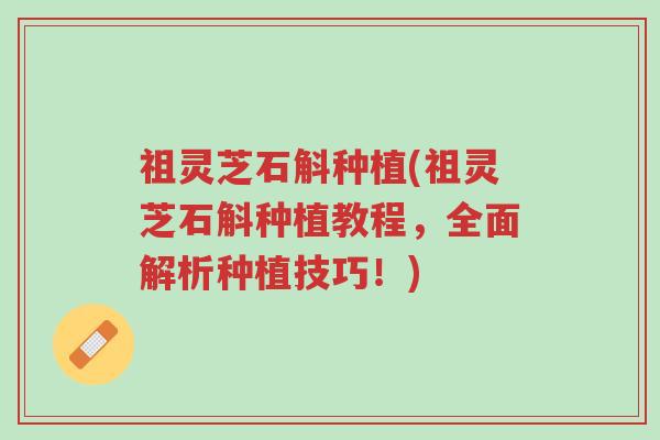 祖灵芝石斛种植(祖灵芝石斛种植教程,全面解析种植技巧!)-第1张图片-超越 祖灵芝石斛种植(祖灵芝石斛种植教程,全面解析种植技巧!)-第1张图片-超越