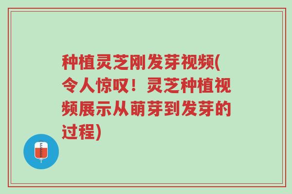 种植灵芝刚发芽视频(令人惊叹!灵芝种植视频展示从萌芽到发芽的过程)-第1张图片-超越 种植灵芝刚发芽视频(令人惊叹!灵芝种植视频展示从萌芽到发芽的过程)-第1张图片-超越