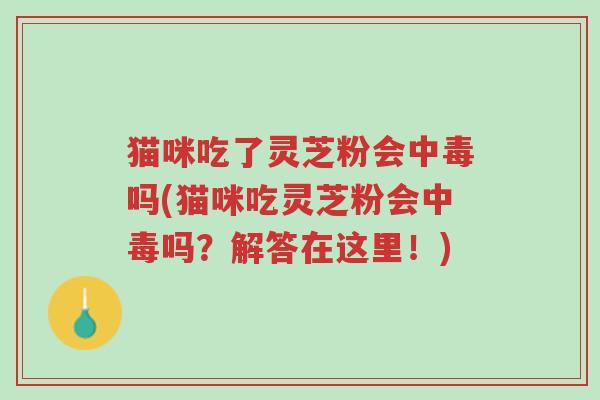 猫咪吃了灵芝粉会中毒吗(猫咪吃灵芝粉会中毒吗?解答在这里!)-第1张图片-超越 猫咪吃了灵芝粉会中毒吗(猫咪吃灵芝粉会中毒吗?解答在这里!)-第1张图片-超越